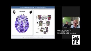 ActInf GuestStream 055.1~ James Pang & Alex Fornito "Geometric constraints on human brain function"