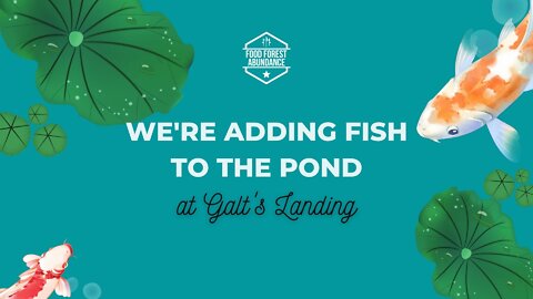 We’re adding fish to the pond at Galt’s Landing!