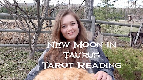 Scorpio - New Moon in Taurus