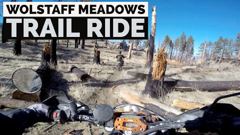 Was the Forest KTM Trail Ride Wolstaff Meadows Piute