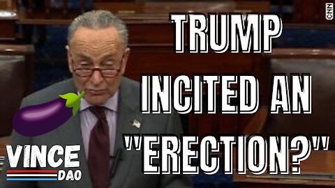 Schumer confuses Insurrection with Erection