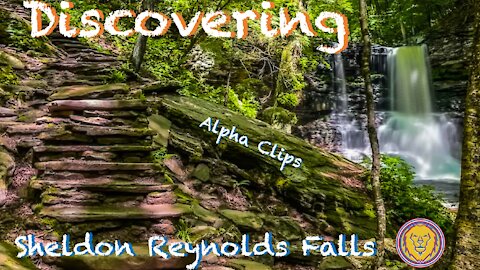 Discovering Sheldon Reynolds Falls