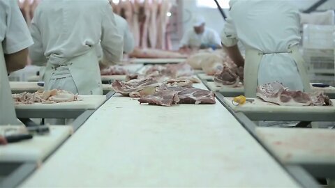 Butcher Cutting Pork Meat in Meat Factory. Fresh raw pork chops in meat factory. Meat processing in