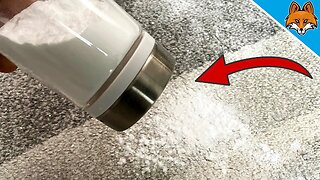 Spread THAT on your Carpet and WATCH WHAT HAPPENS 💥 (Suprising) 🤯