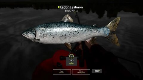 Russian Fishing 4 Volkhov River Ladogo Salmon 5 . 052 Kg