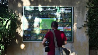 SOUTH AFRICA - Cape Town - Kirstenbosch National Botanical Garden (Video) (pfU)