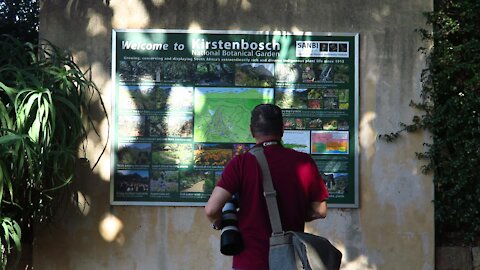 SOUTH AFRICA - Cape Town - Kirstenbosch National Botanical Garden (Video) (pfU)
