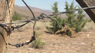 Bruneau-Owyhee Sage Grouse habitat project aims to remove juniper trees