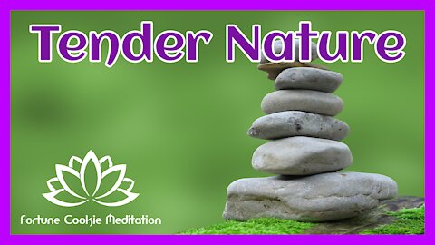 ♥️ [Tender Nature Sounds, Zen Meditation, Relaxing, Calming, Healing Music, Cleanse Your Energy]