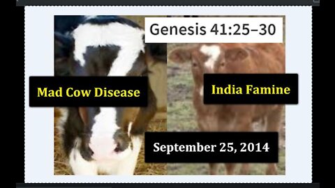 Genesis 41:25-30: The Number 7 'Mad Cows' and the 7 Years of Famine Are Set To Begin in India
