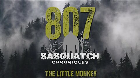 SC EP:807 The Little Monkey