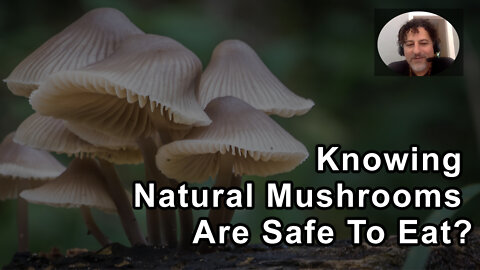 How Do I Know If The Natural Mushrooms I Pick Are Safe To Eat? - David Wolfe