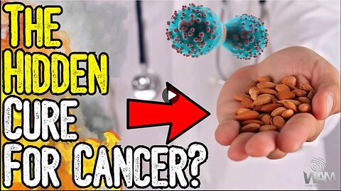 The HIDDEN CURE For Cancer - What Big Pharma DOESN'T WANT You To Know About Apricot Seeds