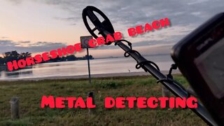 Beach Hunt | New Scoop | Metal Detecting| Treasure Hunting | Gold & Silver | Hardcore | Pro | Fl