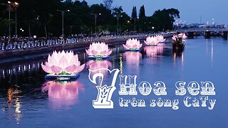 7 Hoa sen lớn được thả trên sông Cà Ty Phan Thiết