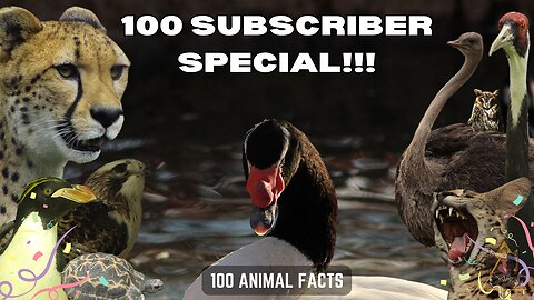 WE HIT 100 SUBSCRIBERS!!! | 100 Random Facts About 100 Random Animals