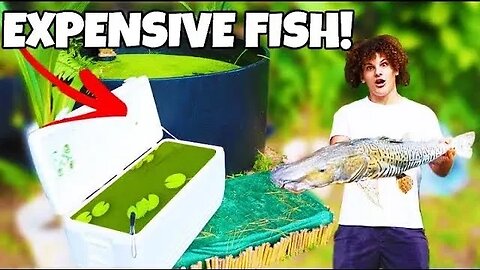 Buying Expensive DREAM Aquarium FISH For BASS FISHING PRODUCTIONS!