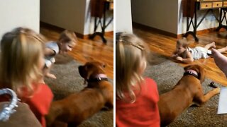 Toddler hilariously slips & falls on a polished floor