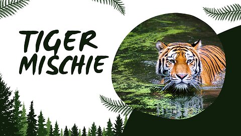 Tiger Mischief Mania: Unleashing Roars of Fun! 🐅🤪