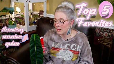 My Top 5 Favorite Houseplants & Botanicaz Terrarium Update