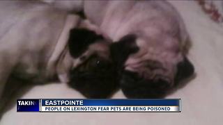 Neighbors in Eastpointe worry someone is poisoning their dogs