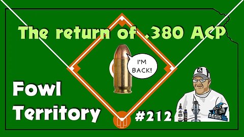 Fowl Territory #212 - The return of .380 ACP