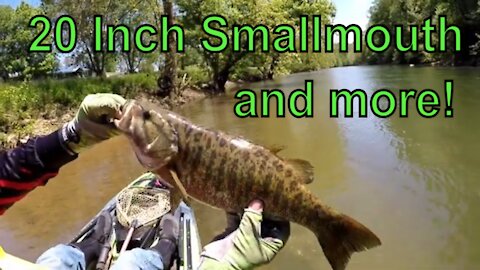 20 inch Smallmouth and more!