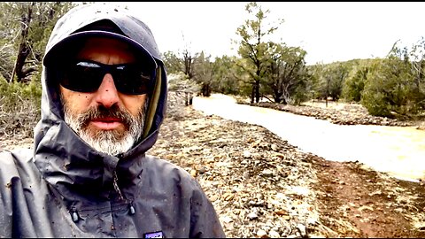 Northern Arizona Flooding - SO MUCH WATER at my place! My Creek Is FLOWING!