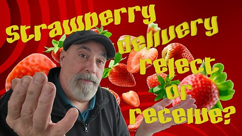 Inspecting Strawberries upon arrival to your location