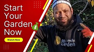 When To Start A Garden For Beginners
