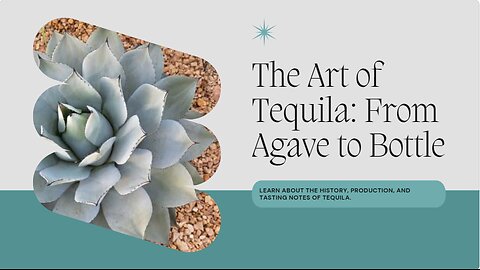 The Art of Tequila From Agave to Bottle