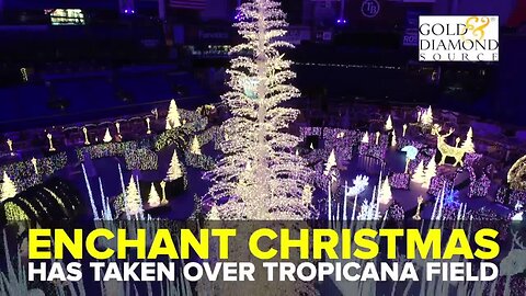 Get a look inside Enchant Christmas at Tropicana Field | Taste and See Tampa Bay