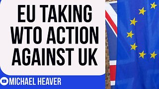 Petty EU Takes WTO Action AGAINST Brexit Britain