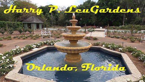Harry Leu Gardens, Orlando, Florida
