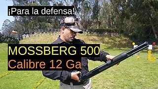 Mossberg 500 -Calibre 12 Ga