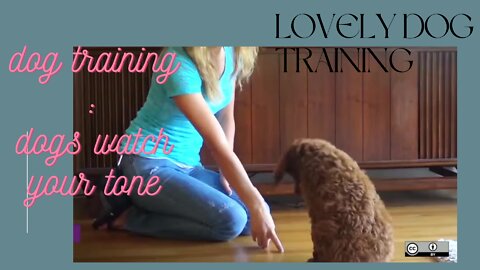 DOG TRAINING BASIC WATCH YOUR TONE