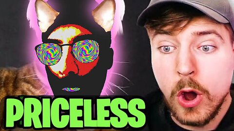 World's Most Exotic Pets! REACTION TO BEAST REACTS