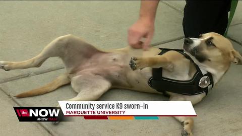 Marquette police get community service dog