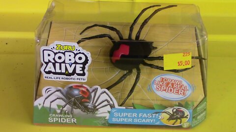 Zuru Robo Alive Spider Review With My Cats 😺