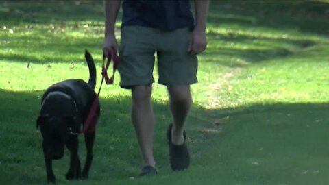 Removal of dog poop trash cans from parkways an indication of future city budget cuts