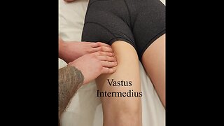 Muscle Palpation - Vastus Intermedius (Quadriceps) [ASMR] [NEW]