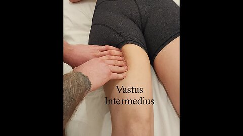 Muscle Palpation - Vastus Intermedius (Quadriceps) [ASMR] [NEW]
