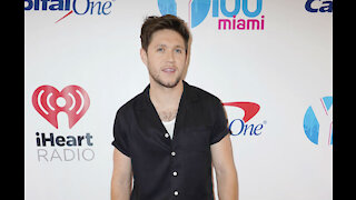 Niall Horan has fears for the future of the arts industry