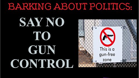 Barking About Politics: Say No To Gun Control