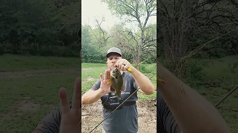 Big green sunfish, monster bream, slipfloat and jig