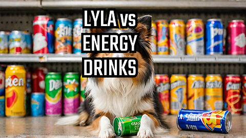 Lyla versus energy drinks