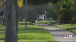 Scammers targeting realtors, renters in South Florida