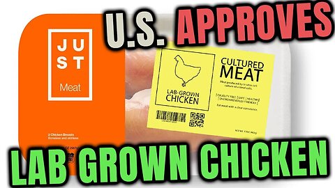 🐓U.S. Approved Lab Grown Chicken for Sell by Two companies backed by Bill Gates 🧪