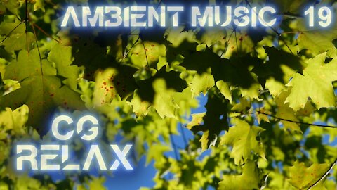 CG RELAX - I Don't See the Branches, I See the Leaves - epic relaxing instrumental music