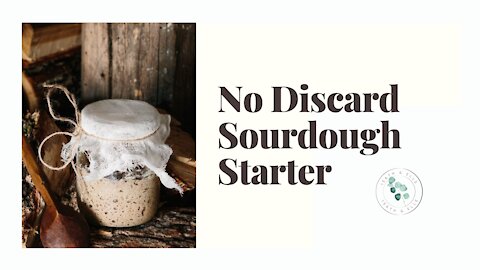 Sourdough Starter No Discard/How To Make Easy Sourdough Starter without the Discard